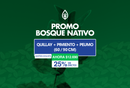 Promo Bosque Nativo (60 - 90 cm)