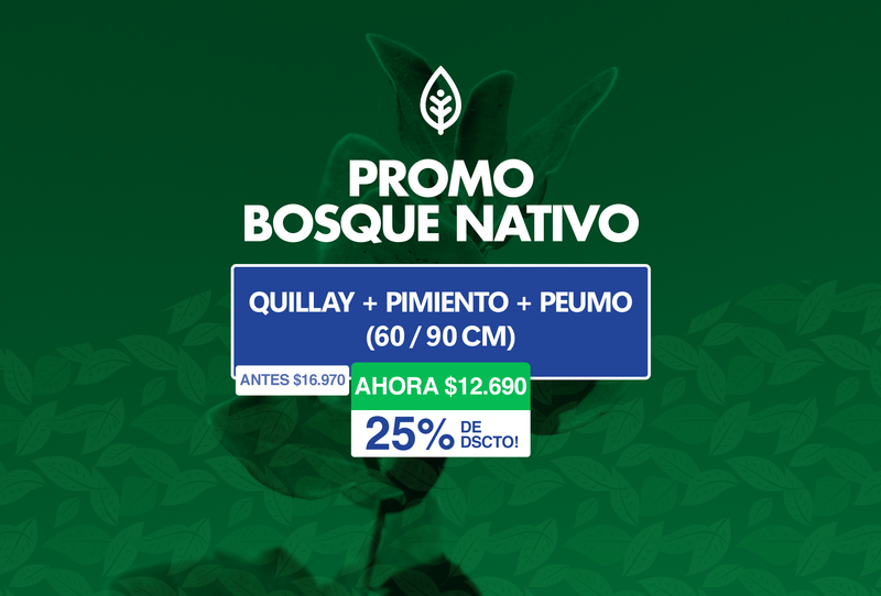 Promo Bosque Nativo (60 - 90 cm)
