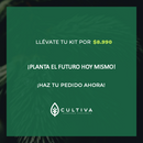 KIT RAÍCES CON SENTIDO (3)