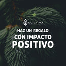 KIT RAÍCES CON SENTIDO (5)