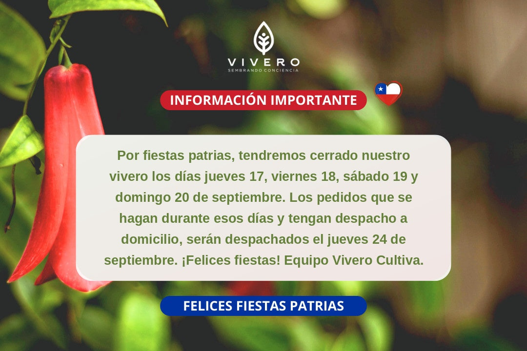 Imagen del bloque