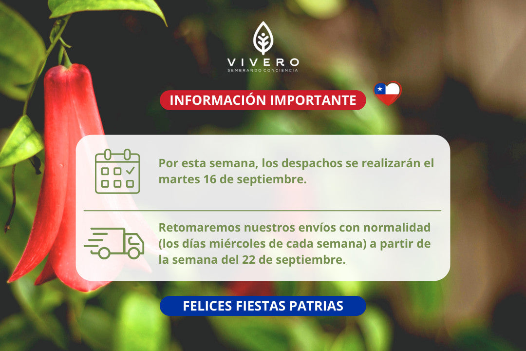 Imagen del bloque
