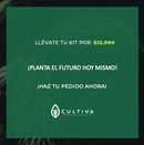 KIT RAÍCES CON SENTIDO (5)